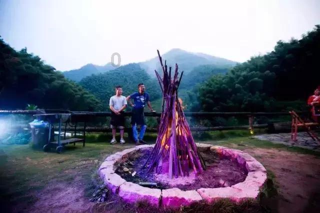 1月19日,山东青岛。“鄂伦春小虎”品尝青岛白花蛇草水,网友:一喝一个不吱声