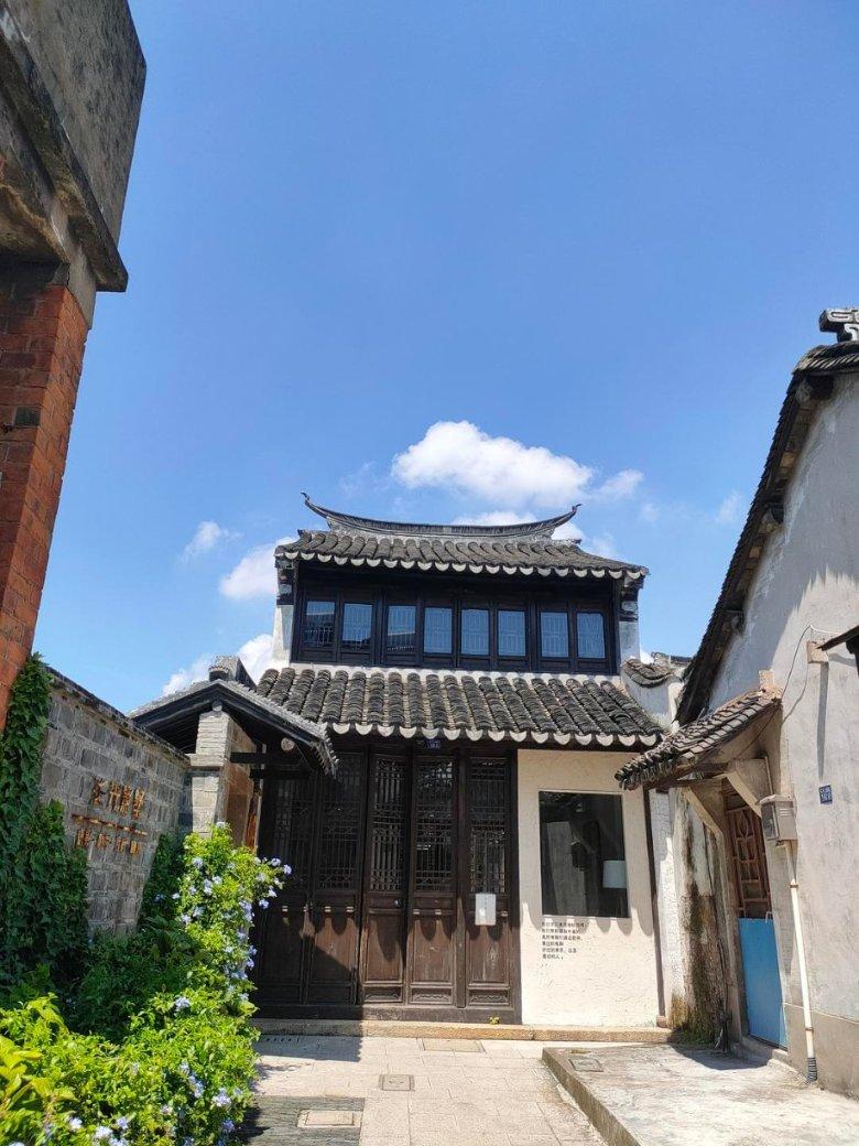 小僵尸射飞鸟